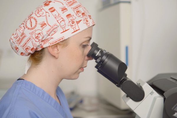 IVF Sarajevo – vantjelesna oplodnja u IVF centru Mehmedbašić